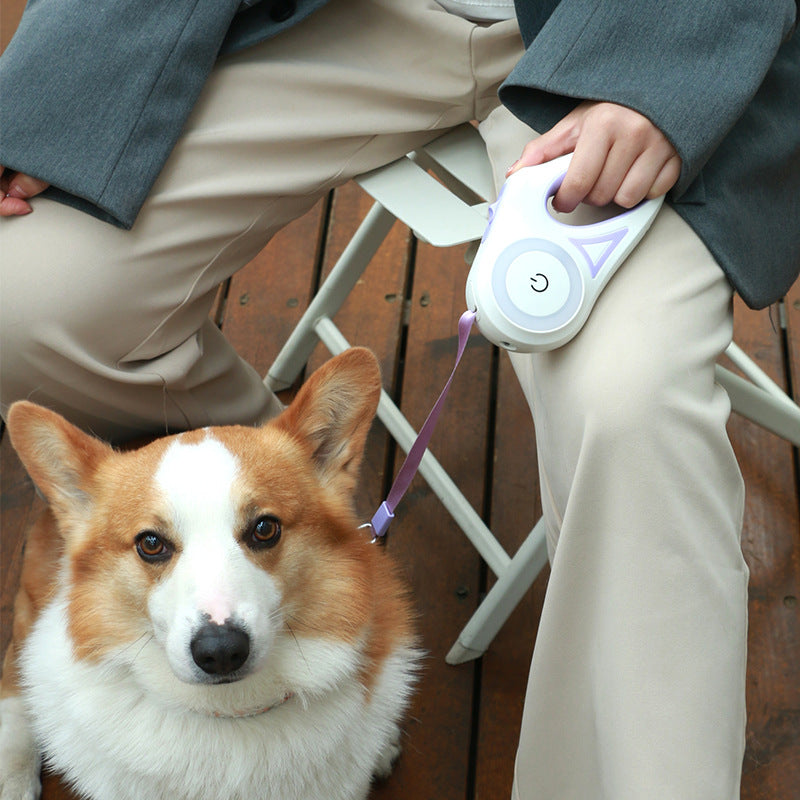 SmartLeash™  Retractable Leash With LED Flashlight For Pets